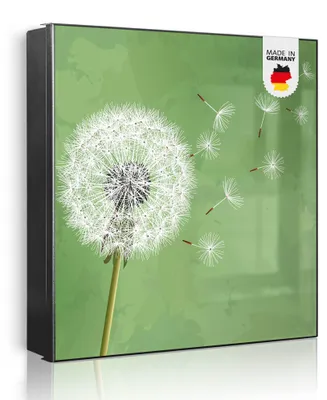 Produktbild von banjado Schlüsselkasten aus Metall, 30x30cm groß mit 32 Haken, als Magnettafel nutzbar, Korpus schwarz, Anschlag rechts, Pusteblume 3 [SKG1 10804]
