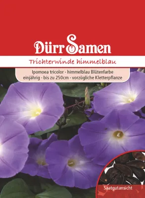 Produktbild von Trichterwinde himmelblau | Trichterwindensamen von Dürr Samen