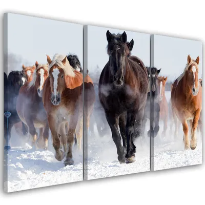 Produktbild von Triptychon auf leinwand tiere - braun 120x80 cm Feeby braun wandbild bereit zum aufhängen