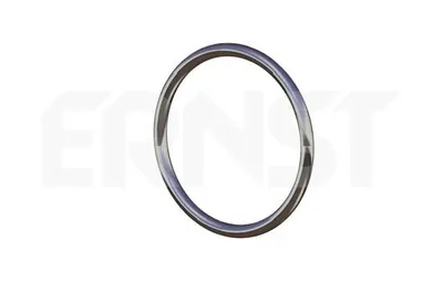 Immagine prodotto di Anello di tenuta ERNST, tubo di scarico Articolo: 493130