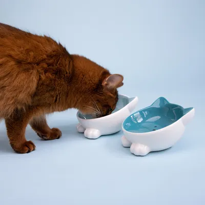 Produktbild von Navaris Futternapf Set 2-teilig für Katzen - 2x Keramik Napf rutschfest - Fressnapf Katzennapf spülmaschinenfest - Wasser Nassfutter Trockenfutter