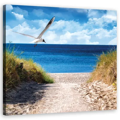 Produktbild von Leinwandbild Weg zum Strand und Möwe 30x30 Feeby Blau bild für die wand bereit zum aufhängen
