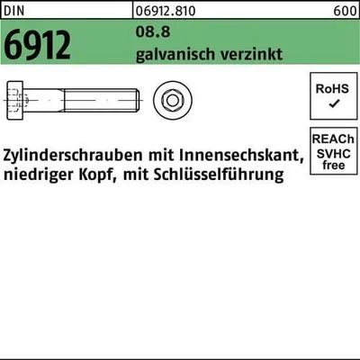 Produktbild von Reyher  Zylinderschrauben DIN 6912 08.8 M 20x220 vz (5 Stück)