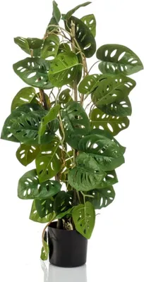 Zdjęcie produktu dla Szmaragdowa sztuczna małpa Monstera 75 cm w doniczce