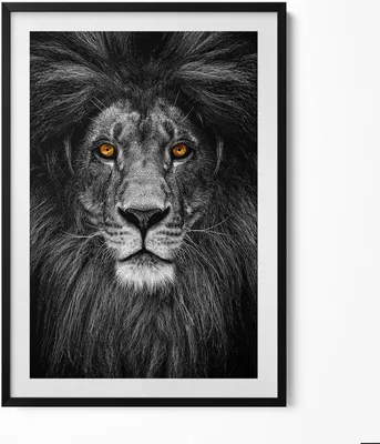 Produktbild von Schwarzer und weißer Löwenkopf– Wandbild mit Rahmen – Gerahmtes Bild  – Wanddekoration – 70x100 cm –  Schwarz Rahmen
