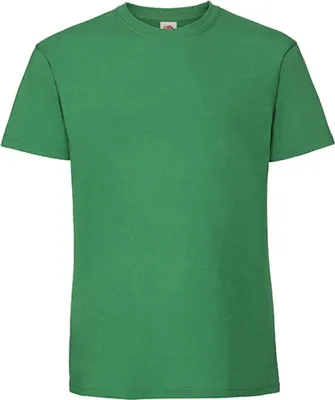 Image de T-shirt Iconic 195 Ringspun Premium