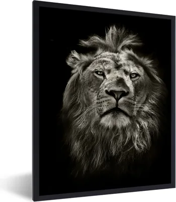 Produktbild von MuchoWow® Gerahmtes Poster Löwe - Tiere - Porträt - Wildtiere - Schwarz und weiß 60x80 cm - Poster mit Schwarzem Bilderrahmen Wandposter Rahmen Foto Bilder - Premium - Wanddeko Wohnzimmer