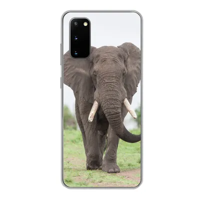 Produktbild von MuchoWow® Handyhülle Schutzhülle Hülle für Samsung Galaxy S20 Elefant - Tiere - Gras - Natur Silikon Softcase Handy Hülle - Bild