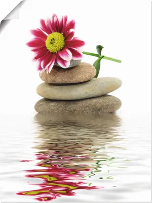 Produktbild von ARTland Poster Zen Spa Steine mit Blumen Größe: 45x60 cm