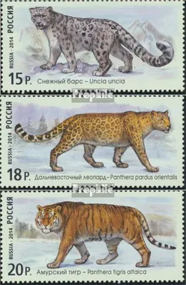 Produktbild von Briefmarken Russland 2014 Mi 2105-2107 (kompl.Ausg.) postfrisch Raubkatzen