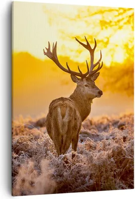Produktbild von Bild auf Leinwand - Leinwandbild - Einteilig - Herbst landschaft natur blatt - 50x70cm - Wand Bild - Wanddeko - Wandbilder - Leinwanddruck - Wanddekoration - Leinwand bilder - Wandbild - PA50x70-2552