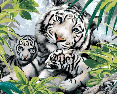 Produktbild von Zuty - Malen nach Zahlen - WEISSER TIGER UND ZWEI JUNGTIERE (HOWARD ROBINSON), 40x50 cm, mit Keilrahmen (bereits gespannt)