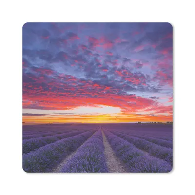 Produktbild von MuchoWow® Mauspad Mousepad Lavendelfeld bei Sonnenuntergang 30x30 cm - Mousepads - Maus Mat - Pad - Mausunterlage - Gaming