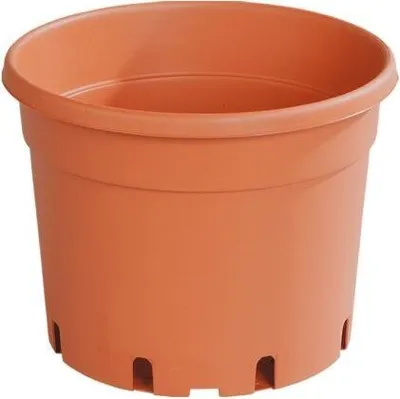 Produktbild von CZ květ. d15cm CLASSIC MCI /dez/1,5l TER