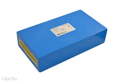 Produktbild von LionTec Lithium Ionen Batterie Akku Akkupack 24 V - 40,6 Ah mit Ladegerät