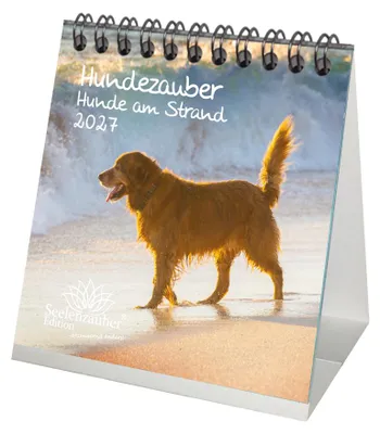Produktbild von Hundezauber Hunde am Strand Tischkalender 10x10cm für 2027 Welpen und Hunde - Seelenzauber