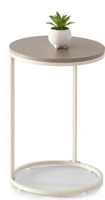A small potted plant sits on a round side table.