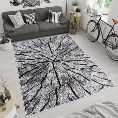 Produktbild von Tapiso Teppich LUXURY Modern Grau Wohnzimmer  160 x 220 cm