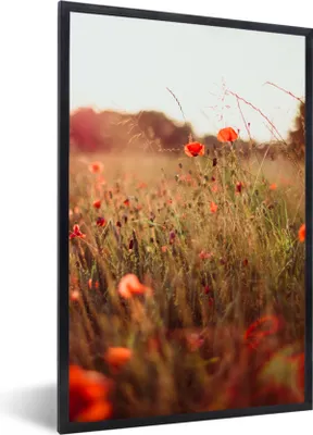 Produktbild von MuchoWow® Gerahmtes Poster Sonnenuntergang - Blumen - Rot 40x60 cm - Poster mit Schwarzem Bilderrahmen Wandposter Rahmen Foto Bilder - Papierdruck - Wandbilder