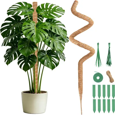 Zdjęcie produktu dla Podpórka do roślin Monstera, elastyczna, 125 cm, do roślin doniczkowych