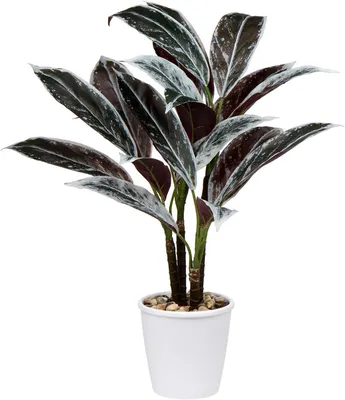Zdjęcie produktu dla Briful 63 CM duża sztuczna roślina Cordyline Fruticosa w białej doniczce