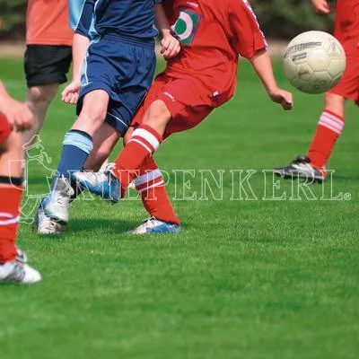 Immagine prodotto di Kiepenkerl RSM 3.1 Prato sportivo nuovo impianto 10 kg