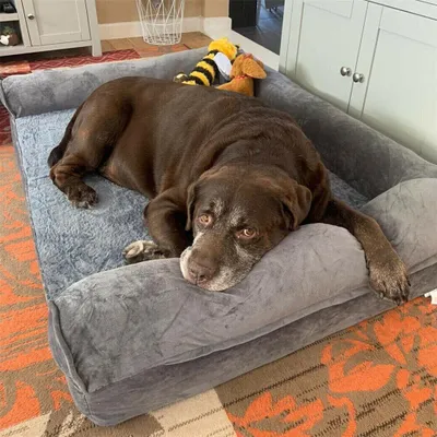 Produktbild von Hundebett orthopädisch Sofa waschbar Schlafplatz für Hunde