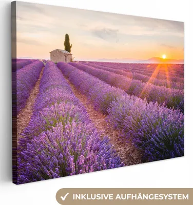 Produktbild von MuchoWow® - Leinwandbilder - Lavendel - Sonnenuntergang - Blumen - Lila, Wandbild, Wanddeko Bilder Wohnzimmer, 40x30cm