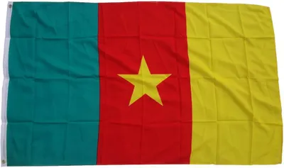Produktbild von Flagge Fahne Kamerun 90 x 150 cm - Fahne- reißfest - rissfest - Hissfahne- Hissflagge - Sturmflagge -zum hissen - - keine billige Chinaqualität