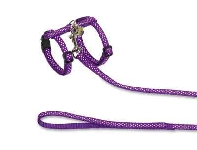 Produktbild von Nobby 78009-38, Katze, Violett, Weiß, Muster, Nylon, 1 Stück(e)