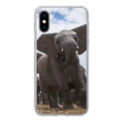 Produktbild von MuchoWow® Handyhülle Schutzhülle Hülle für iPhone X Elefant - Tiere - Natur - Flachland Silikon Softcase Handy Hülle - Handyhülle