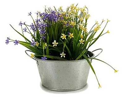 Produktbild von Arte r Pflanztopf/Blumentopf teil- Zink - silber - D20 x H15 cm