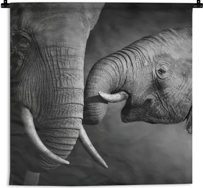 Produktbild von MuchoWow® Wandteppich Wandbehang Wildtiere - Elefant - Schwarz - Weiß - Porträt 90x90 cm Tapisserie Dekoration Wandtuch - Wandaufhänger