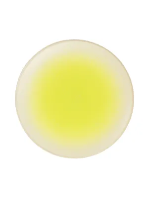 Produktbild von Asa Dessertteller Koi Porzellan Gelb (19cm)