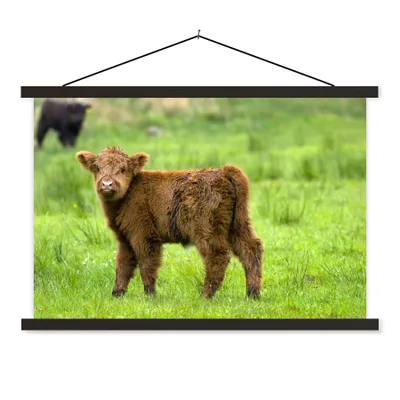 Produktbild von MuchoWow® Textilposter Scottish Highlander - Kalb - Braun - Gras 60x40 cm mit schwarzem Rahmen - Hölzernes