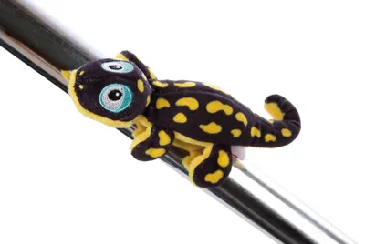 Obrázek produktu pro NICI magnetka Mlok Don Fuego 12cm ležící, GREEN