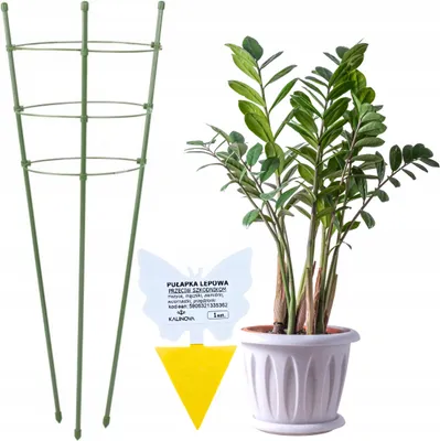 Produktbild von Pflanzenstütze 60 cm - Grün - Stabil und ästhetisch - Inkl. gratis Kalinova-Leim