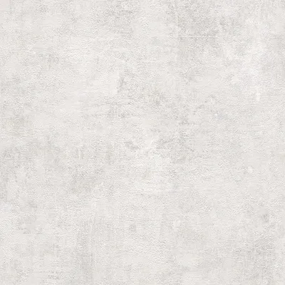 Obrázok produktu pre Papierová tapeta 282405 Tapeta Uni Jednofarebná 53 x 1005 cm Rasch Selection Biela Sivá
