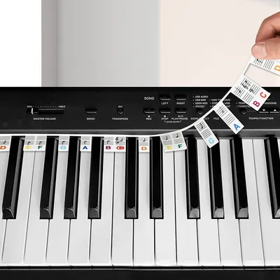 Obrázek produktu pro Samolepky na klavírní klaviaturu v plné velikosti, 88 kláves, odnímatelné nálepky na klavírní klaviaturu, opakovaně použitelné nálepky na klavírní klaviaturu（Multicoloured）