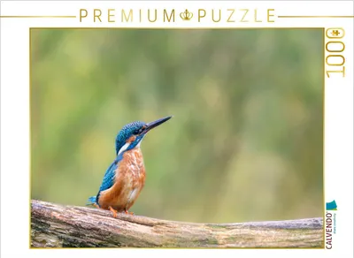 Produktbild von CALVENDO Puzzle Eisvogel auf seinem Ast | 1000 Teile Lege-Größe 64x48cm Foto-Puzzle für glückliche Stunden