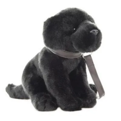 A plush black Labrador dog with a leash, sitting on a white background.