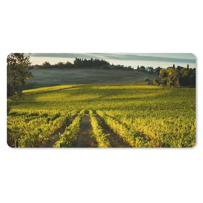 Produktbild von MuchoWow® Schreibtischunterlage Toskana - Landschaft - Wein 80x40 cm - XXL Mauspad - Gaming Mauspad