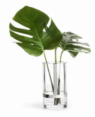 Produktbild von Sagaform-Vase, 11 x 20 cm, Glas/Metall, Silber, Geschenkbox