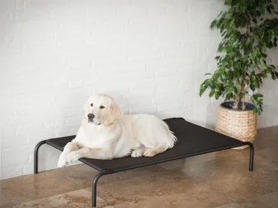 Obrázok produktu pre Pelech pre psov "Iron" 120×70 cm - s kovovým rámom a poťahom Codura | Pillowprim