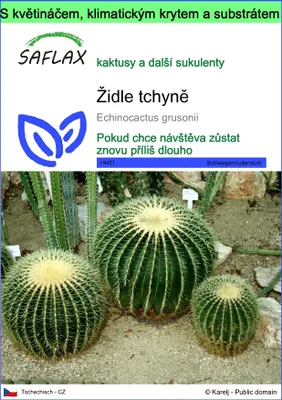 Obrázek produktu pro SAFLAX Garden to go - židle tchyně - Echinocactus grusonii - 40 Semena - S květináčem, klimatickou poklicí a pěstebním substrátem