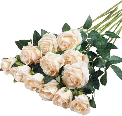 Produktbild von Famanu WC-Matte Antirutsch - Waschbar - Beige - 50 x 60 cm