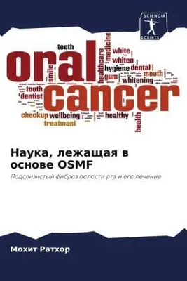 Produktbild von Nauka, lezhaschaq w osnowe OSMF