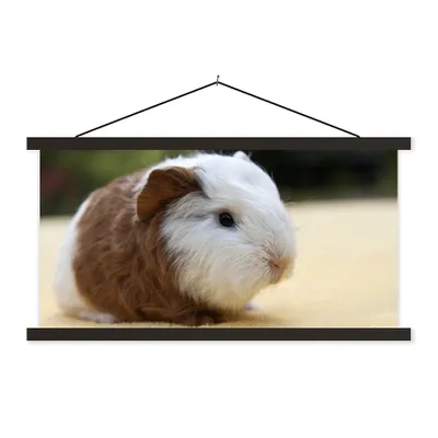 Produktbild von MuchoWow® Textilposter Junges Meerschweinchen 120x60 cm mit schwarzem Rahmen - Dekoration Schlafzimmer