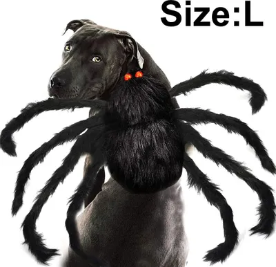Produktbild von Haustierkostüm Spinne Halloween Haustier Cosplay Hunde Katzen Kostüme Bekleidung für mittelgroße und kleine Hunde Katzen Outfit Verkleidungsaccessoires