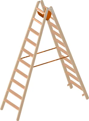 Image de Layher échelle en bois avec marches 1020 2 x 10 rungs